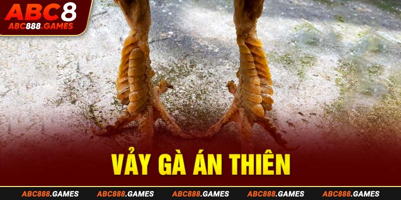 32-vay-ga-an-thien