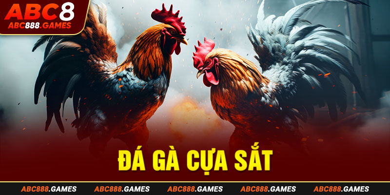 33-da-ga-cua-sat